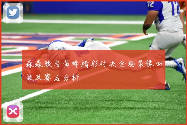 森森狼与黄蜂精彩对决全场录像回放及赛后分析