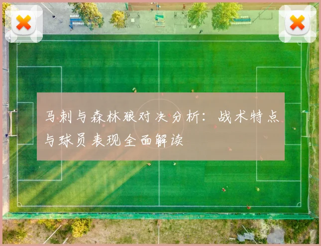 马刺与森林狼对决分析：战术特点与球员表现全面解读