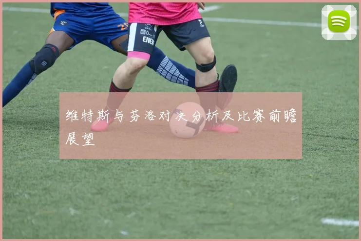 维特斯与芬洛对决分析及比赛前瞻展望