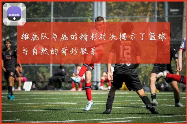 雄鹿队与鹿的精彩对决揭示了篮球与自然的奇妙联系