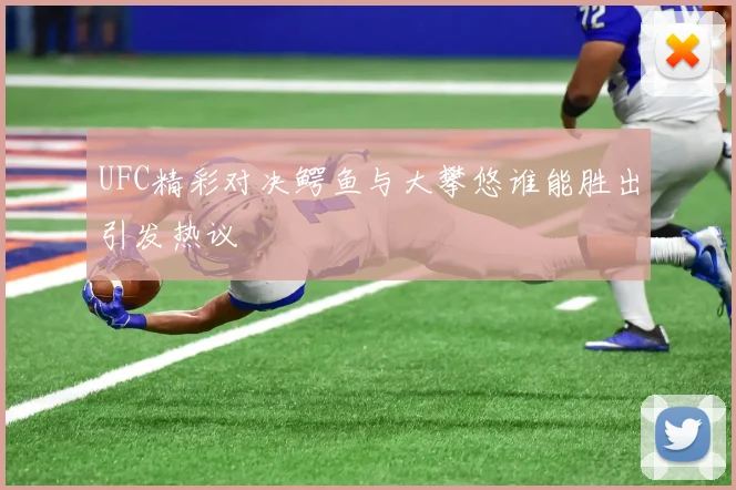 UFC精彩对决鳄鱼与大攀悠谁能胜出引发热议
