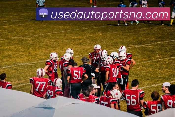 博鱼体育APP 封面图